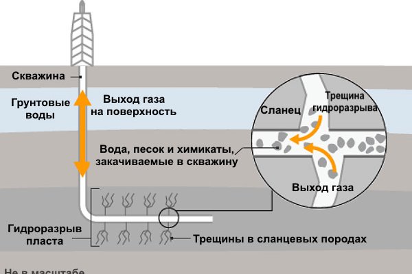 Как отличить оригинальный сайт кракена