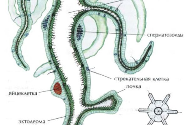 Ссылки онион