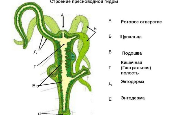 Ссылки онион