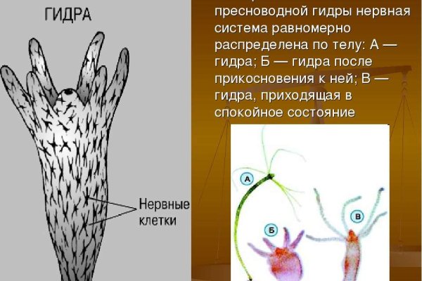 Даркмаркет кракен